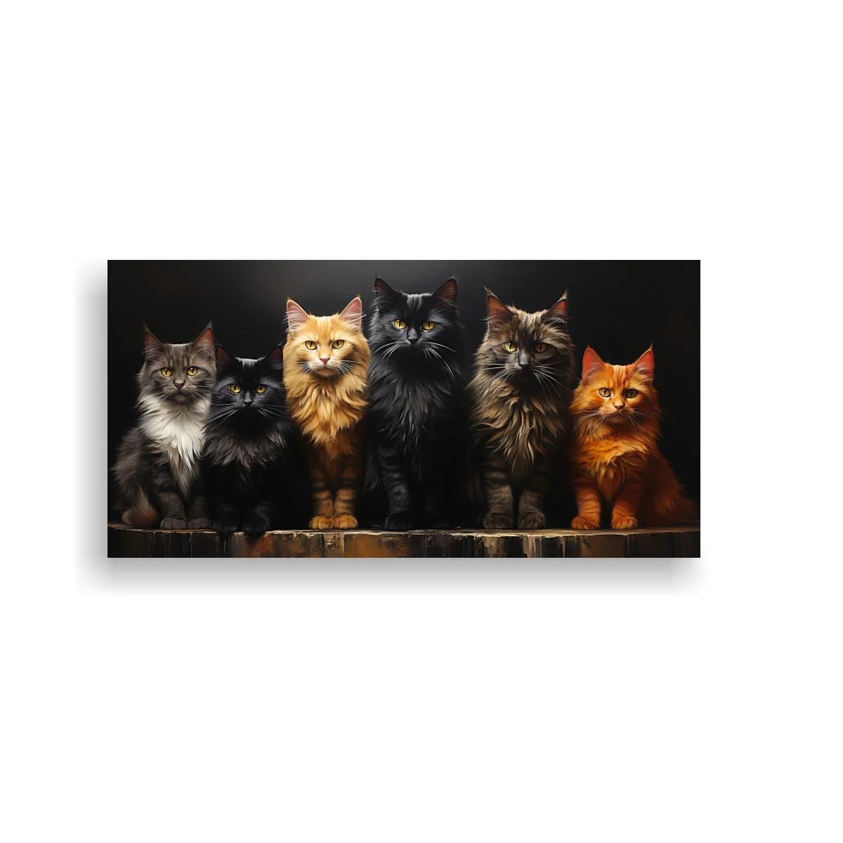 Cuadro grupo de gatos de pelo largo con fondo oscuro — imagen principal