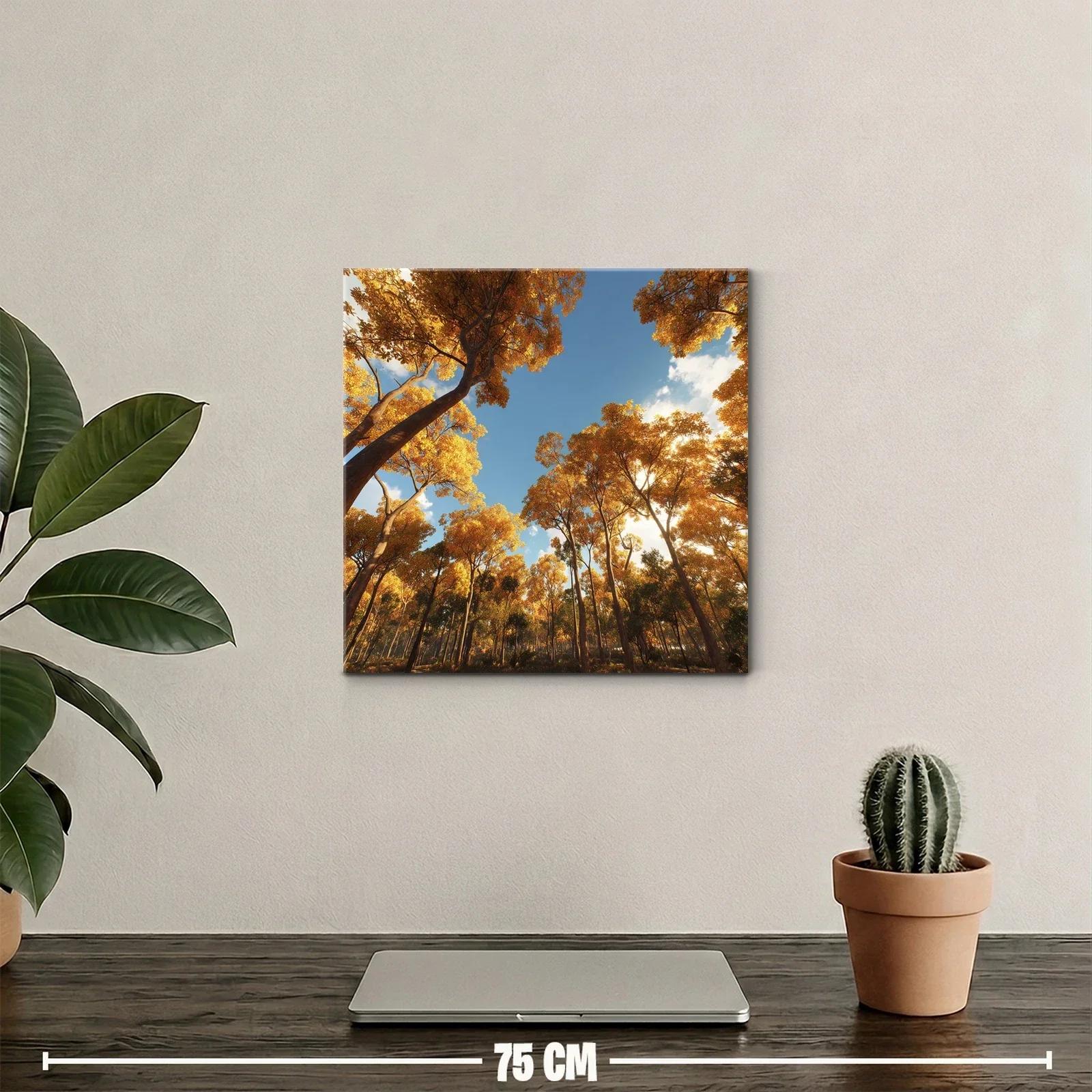 Bosque otoñal con luz cálida y cielo despejado — miniatura 2