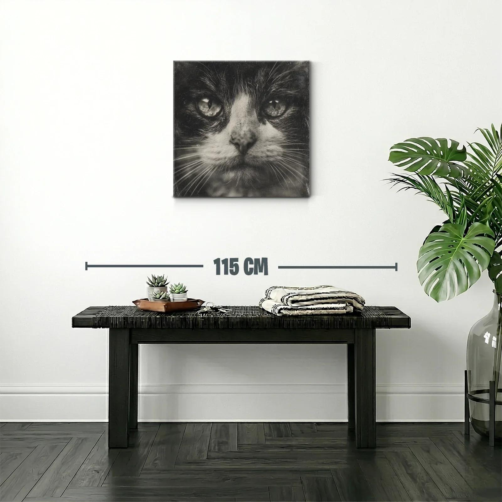 Impactante retrato de gato en tonos monocromáticos — miniatura 2