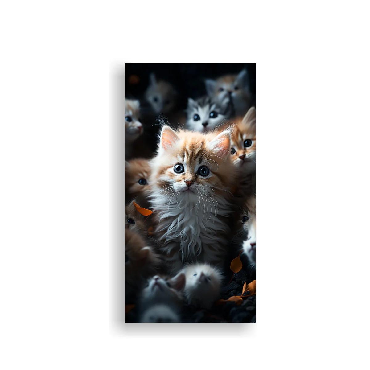 Cuadro gatito peludo naranja y blanco entre hojas secas — imagen principal