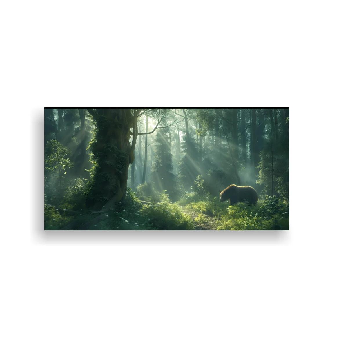 Cuadro oso en bosque con rayos de luz filtrada — imagen principal