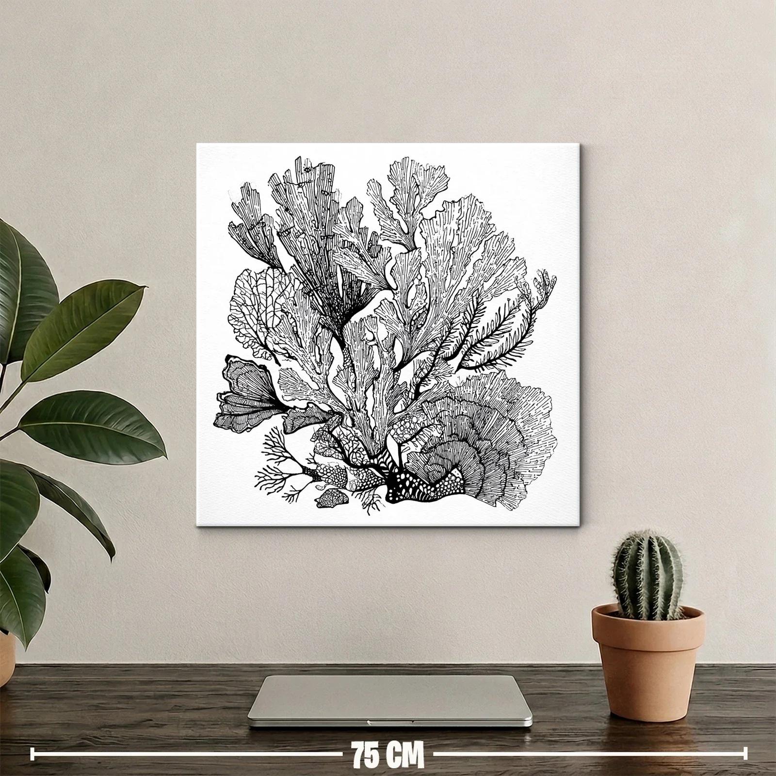 Composición orgánica de algas con delicados trazos en blanco y negro — miniatura 2