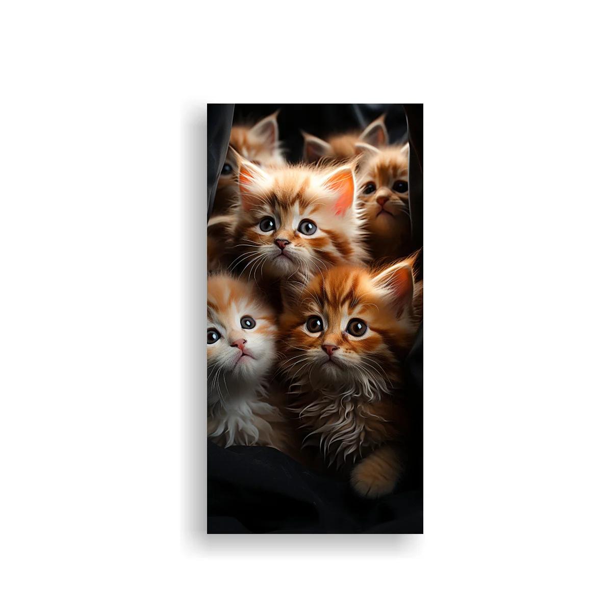 Cuadro gatitos pelirrojos entre sombras oscuras — imagen principal